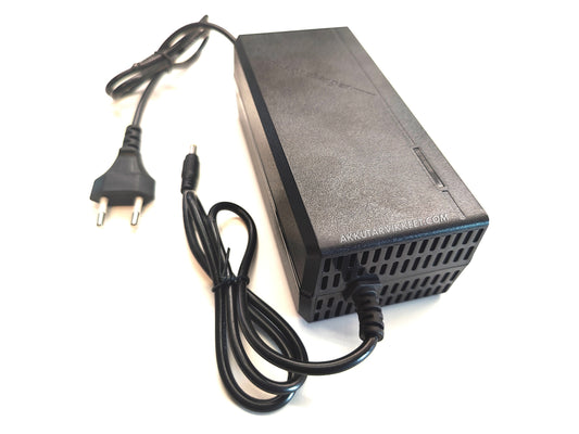 36V 5A Akkulaturi