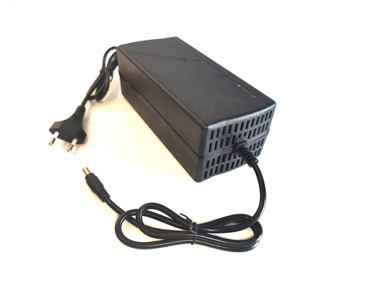 60V 5A Akkulaturi